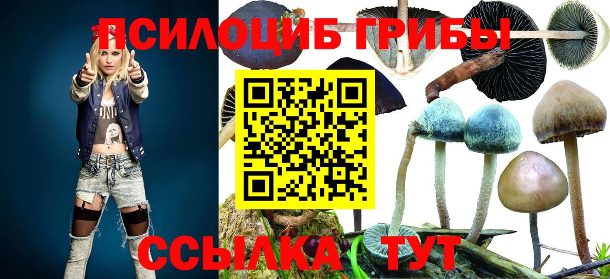 Октябрьский  Псилоцибиновые грибы мухоморы  Вход с VPN  Галлюциногенные грибы GOLDEN TEACHER 
